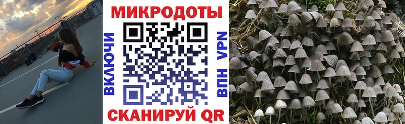 Псилоцибиновые грибы мухоморы  Купить закладки  Бобров 