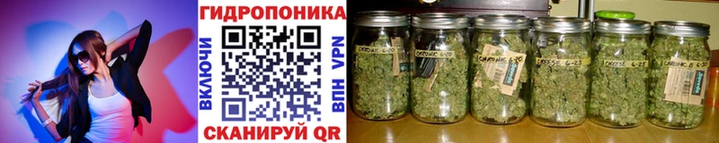 Марихуана Bruce Banner Купить Бобров